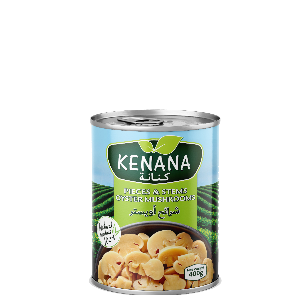 Kanana mushroom slices 400g